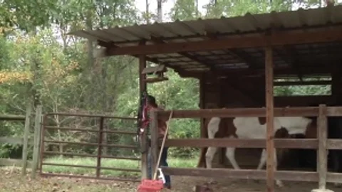 Str8toGay.com - Ramming hard as well as tight cowboy